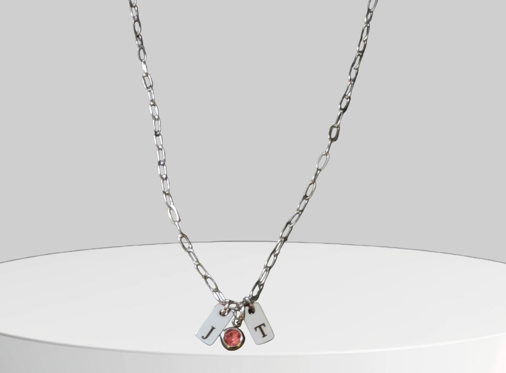 Stainless Steel Petite Tag Charm Necklace