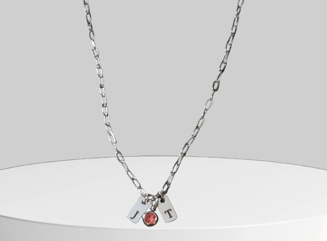 Stainless Steel Petite Tag Charm Necklace